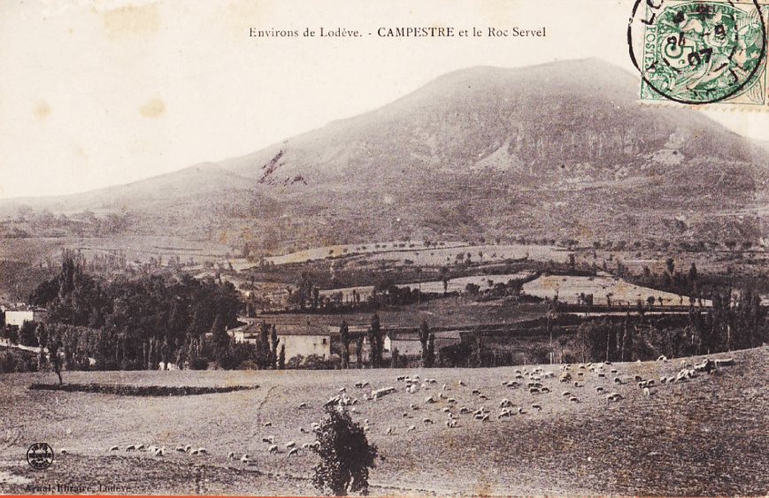 Campestre