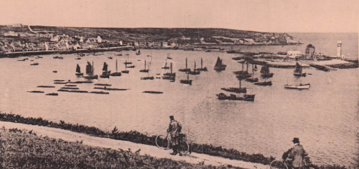 Camaret-sur-Mer vue panoramique