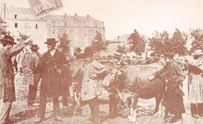 Naucelle
