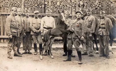 8e régiment d'infanterie