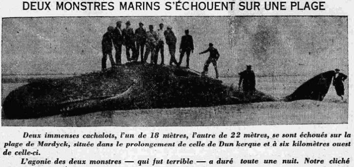monstres-marins