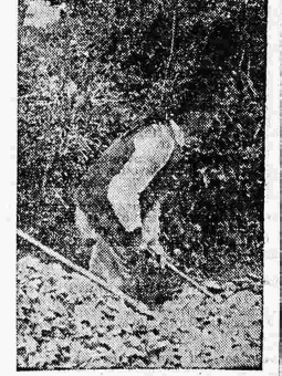Châteaulin Nedelec Jean 75 ans Le Petit Breton 11 octobre 1936