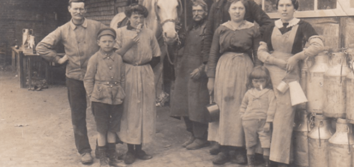 Famille de Laitiers