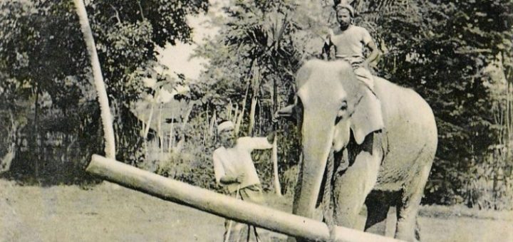 Ceylan Sri Lanka