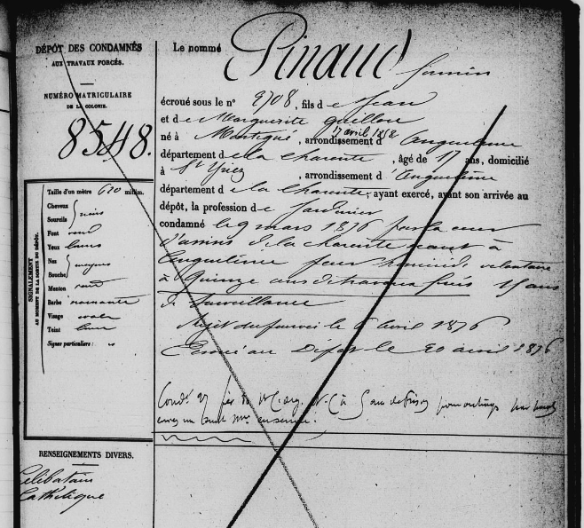 Pinaud-Firmin