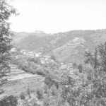 Polveroso