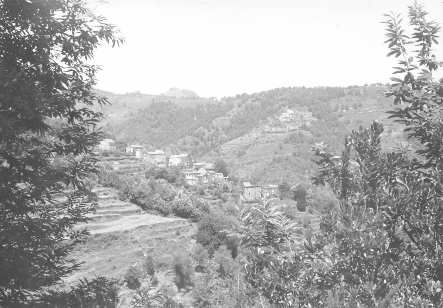 Polveroso