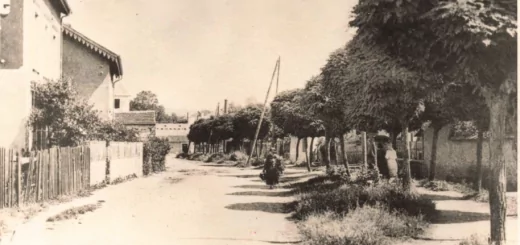 Pagny-sur-Moselle rue de la frontière