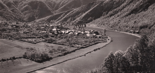 Les Dames de Meuses vue générale 1957