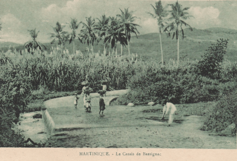Martinique Le Cassis de Bassignac
