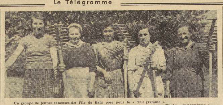 Île de Batz un groupe de jeunes faneuses Le Télégramme de Brest 21 juillet 1954