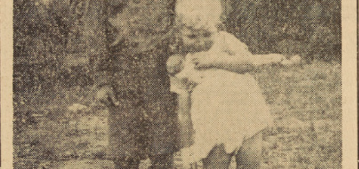 Eréac Chapren Guy 8 ans sauve le petit Bréhinier Paul 3 ans et demi Le Télégramme 6 août 1952