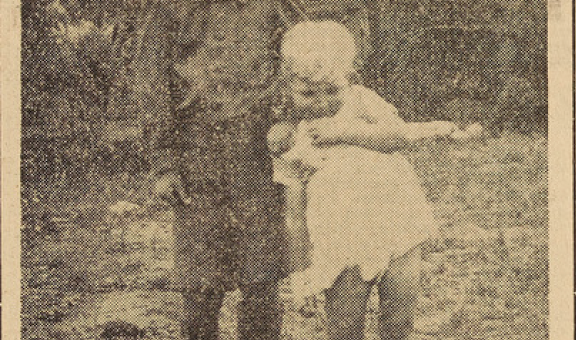 Eréac Chapren Guy 8 ans sauve le petit Bréhinier Paul 3 ans et demi Le Télégramme 6 août 1952